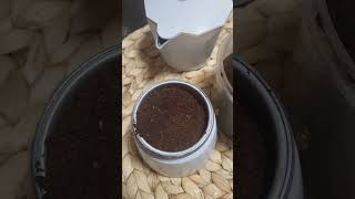 How to make Espresso MoKa Pot [upl. by Einohtna]