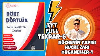 6HÜCRENİN YAPISIHÜCRE ZARIORGANELLER1 full tekrar TYT biyoloji ibrahimdem [upl. by Camilia]