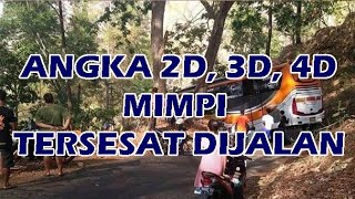 Erekerek Kode Alam 2D3D4D  Angka Mimpi Tersesat dijalan  Tafsir Mimpi Tersesat di Jalan [upl. by Crudden]