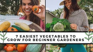 7 Easiest To Grow Vegetables For Beginners  Gardening 101 [upl. by Bourne]