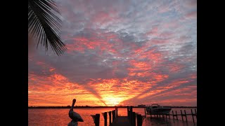 Siesta Key Live  Relaxing Sounds of Calm Waves and Island Life [upl. by Atikahs]