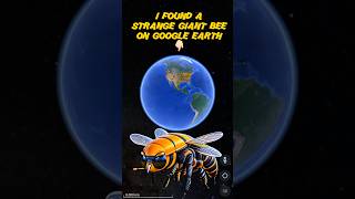 I found a strange giant bee on Google Earth monuments googleearth googlemaps maps [upl. by Emanuela]