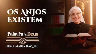 Palavra de Deus  Os Anjos existem Mt 181510 Ir Maria Raquel 0210 [upl. by Atul237]