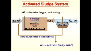 Activated Sludge  Activated Sludge Process  Industrial Wastewater Treatment Plant [upl. by Jain644]