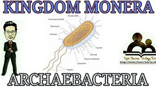 Kingdom moneradetailed account of Archaebacteria for NEET AIIMS JIPMER [upl. by Eicaj563]