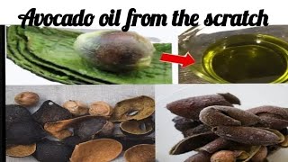 COMMENT FABRIQUER LHUILE DAVOCAT  HOW TO MAKE AVOCADO OIL FROM THE SCRATCH [upl. by Ursulina484]