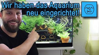 Aquarium Umbau und Einrichtung  Wir richten ein mögliches Zuchtbecken für Welse ein [upl. by Arema]