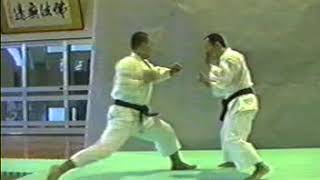 Shorinji Kempo Waza  SHITA UKE GERI KOTE NAGE [upl. by Amalee]