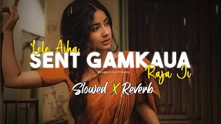 Lele Aiha Sent Gamkaua Raja Ji  Slowed and Reverb [upl. by Airogerg]