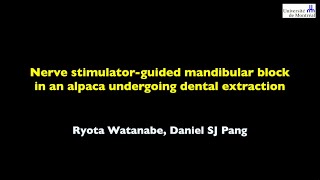 The CVJ December 2023 Video 1  Nerve stimulatorguided mandibular block in an alpaca [upl. by Peirce]