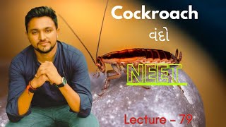 Cockroach  વંદો  Morphology amp Anatomy  Structural Organization Of Animal  NEET [upl. by Peggie]