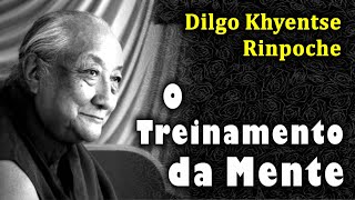 Dilgo Khyentse Rinpoche  O Treinamento da Mente [upl. by Zaragoza9]