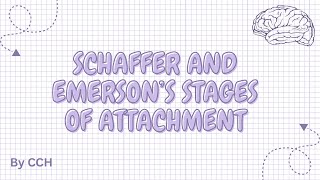 AQA ALEVEL PSYCHOLOGY  Attachment Schaffer and Emerson’s Stages of Attachment [upl. by Blanc]