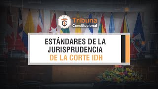 Estándares de la Jurisprudencia de la Corte IDH  TC 413 [upl. by Elynad668]