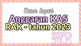 Input Rencana Anggaran Kas RAK tahun 2023 di SIPD [upl. by Nnaeus423]