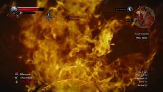 The Witcher 3 muerte a Radovid [upl. by Ahsiam371]