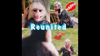 Capuchin Monkey Missed Owner SO MUCH [upl. by Millan]