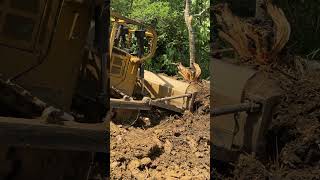 Best Techniques to Improve the Performance of the D6R XL Bulldozer in Wood Removal Operations [upl. by Aslin]