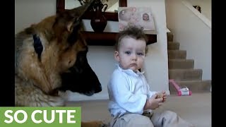 German Shepherd is wonderfully trustworthy around baby [upl. by Annayehc]