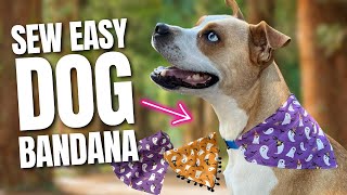 🐶 Sew a DIY Over the Collar Dog Bandana in 15 Minutes or Less [upl. by Lorenzo725]