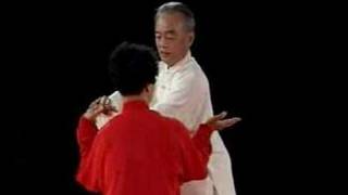 Chen Taijiquan Applications Ma Hong [upl. by Loria]