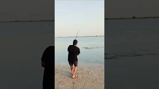 Monster fish fishing abudahbi fishingtechniques reelsvideo fish carpfishing [upl. by Woodring]