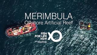 Merimbula Bay Offshore Artificial Reef [upl. by Beckett]