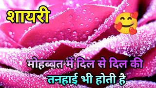 मोहब्बत में दिल से दिल की  Romantic shayari in Hindi  new shayari  poetry shayari video [upl. by Enyalahs]