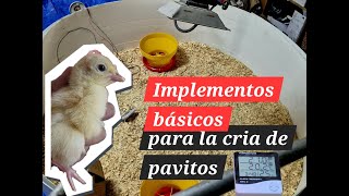 Implementos para cria de pavos  pollos  aves guajoles 2 [upl. by Filipe]