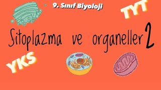 9sınıf Sitoplazma ve organeller 2 [upl. by Aissac]