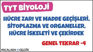 Hücre Zarı ve Madde Geçişleri Sitoplazma ve Organeller Hücre İskeleti ve Çekirdek [upl. by Ada]