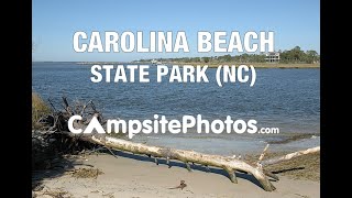 Carolina Beach State Park North Carolina Campsite Photos [upl. by Truman]