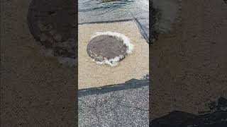 bubbling water from manhole [upl. by Smallman]