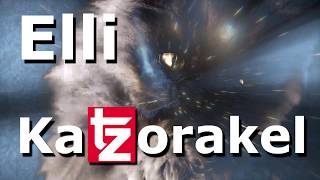 Elli das KaTZorakel Sie weiß wer gewinnt Trailer [upl. by Ahtiek]