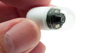 Diagnostic Procedures  Wireless Capsule Endoscopy [upl. by Iolande]