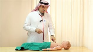 Pediatric Cardiovascular Assessment Physical Examination  Dr Zaher Faisal Zaher [upl. by Greene]