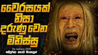 හිතාගන්න බැරි දරුණු දේවල් කරන පිස්සු මිනිස්සු  The Sadness 2021 Explained in Sinhala [upl. by Hurwitz745]