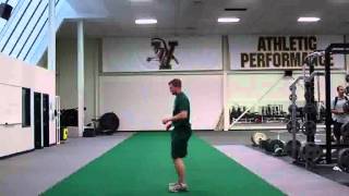 Counter Movement Vertical Jumpwmv [upl. by Ahsekad]