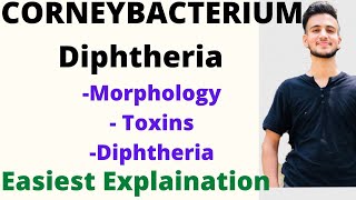 CORNEYBACTERIUM DIPHTHERIA MICROBIOLOGY  corneybacterium microbiology lecture [upl. by Lamok]