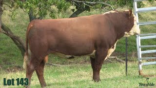 Lot 143 Yavenvale Tumbarumba T011 [upl. by Lyrad15]