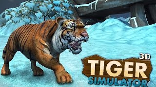 Tiger Simulator 3D Wildlife  Gameplay Android [upl. by Harhay431]