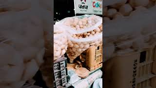 5Stargolgappaswagjaipur shorts panipuri indianstreetfood [upl. by Dylana755]