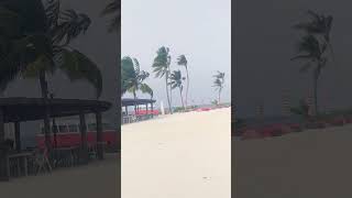 Maldives Resort ⛱️ 🏖️ Beach shortvideo reels youtubeshorts [upl. by Elliott]