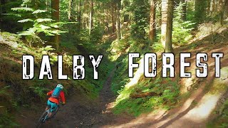 Dalby Forest Mtb  Black world cup route and Red trail [upl. by Emelin]