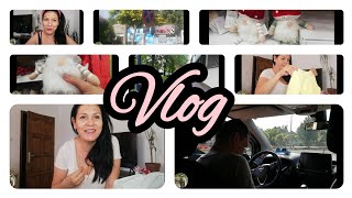 🍁🍁🍄VLOG shopping pepco ősz dekor 🍁🍁🍄 [upl. by Anitsej]