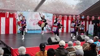 UminokoeDynamic RyukyuOrion Beer  Richmond Cherry Blossom Festival 2024  Vancouver Okinawa Taiko [upl. by Yevol155]