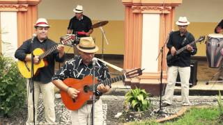 SON ANTILLANO  PICOTEANDO POR AHÍ  MÚSICA TRADICIONAL CUBANA [upl. by Clementia]