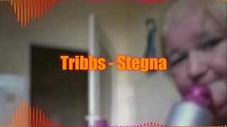 Stegna Remix by Tribbs  Extended [upl. by Yrocej]