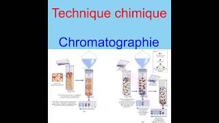 la chromatographie dexclusion [upl. by Clapper]