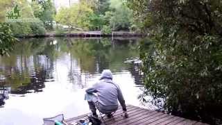 FishingWirralcouk Royden Park [upl. by Nowyt]